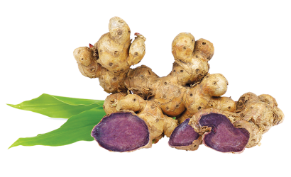 gingermix plus black ginger
