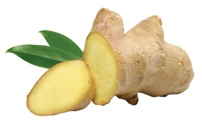 gingermix plus ginger