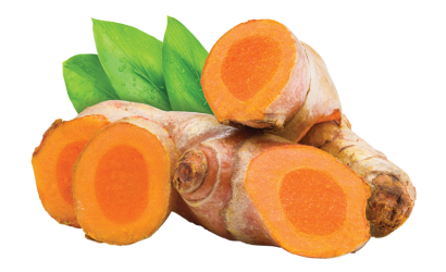 gingermix plus turmeric
