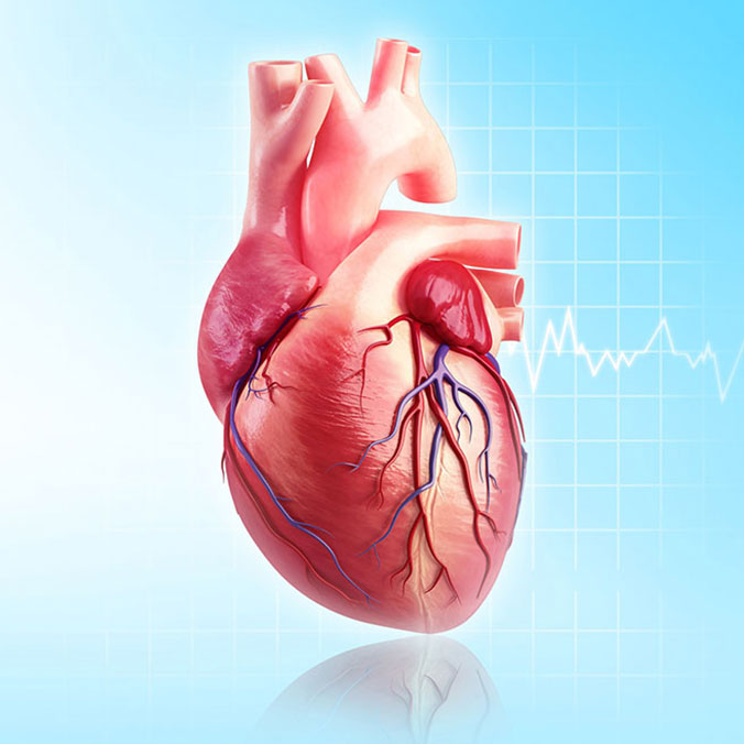 heart disease roshan gingermix plus
