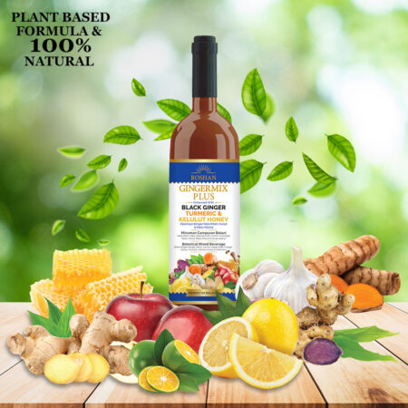 gingermix plus enhanced with black ginger, turmeric and kelulut honey