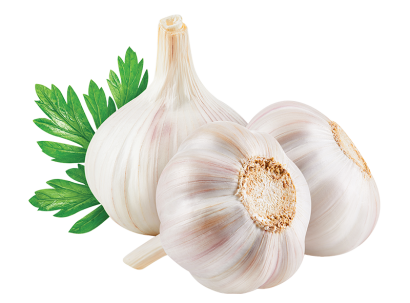 gingermix plus garlic